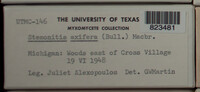 Image Associated With the Occurence